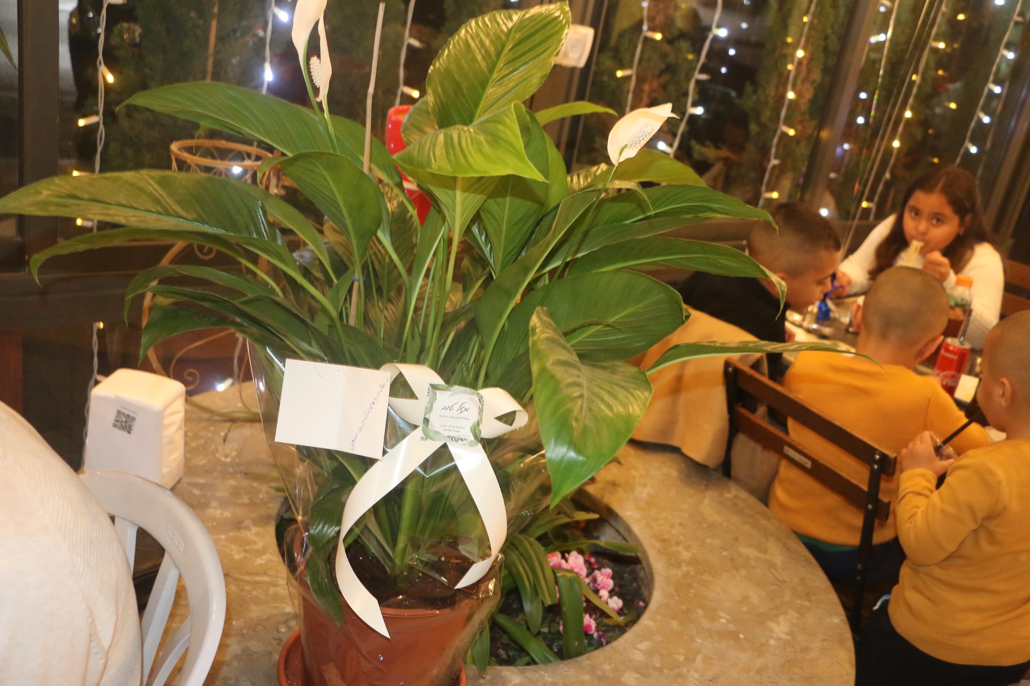 WhatsApp Image 2023-01-22 at 9.59.11 PM (1).jpeg